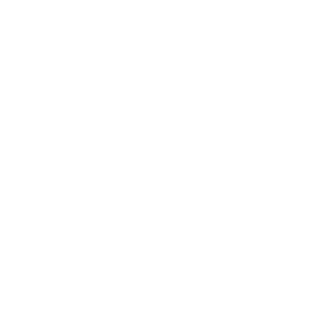 Xアイコン